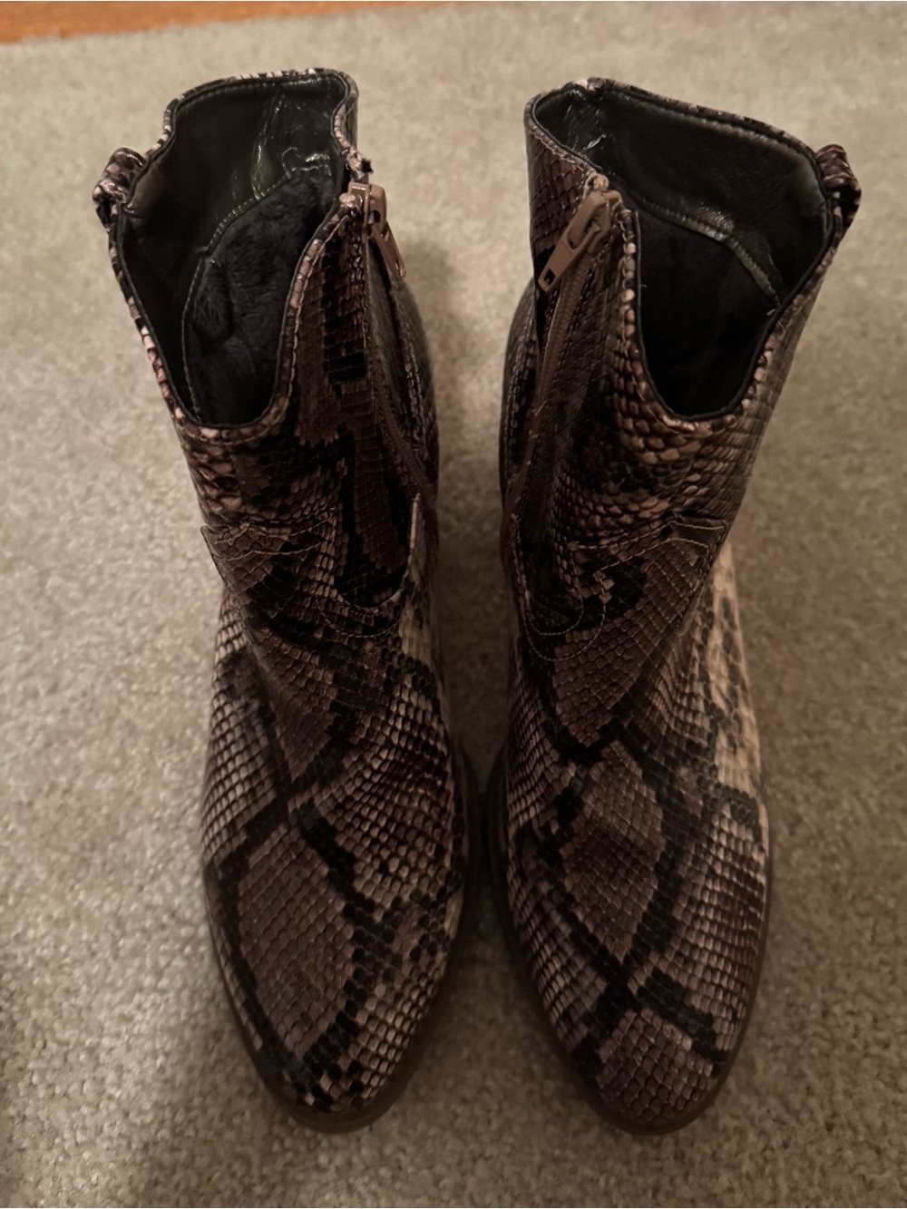 Sugar Snake-Print Ankle Booties in Brown and Black